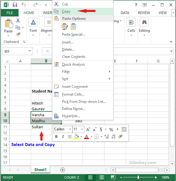 copy and paste data in excel