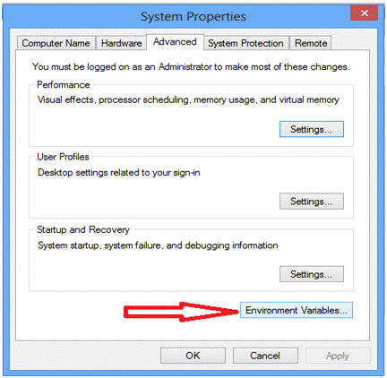 Environment variable