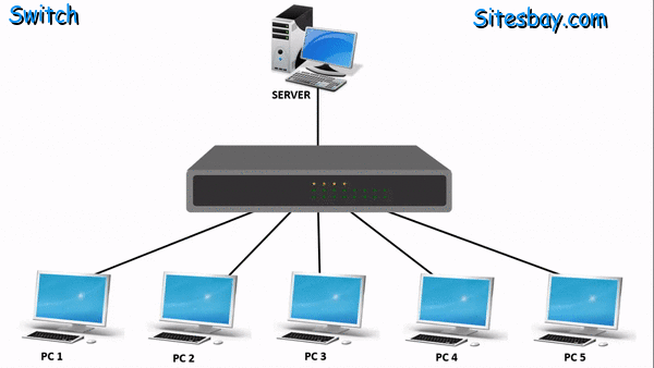 what is router