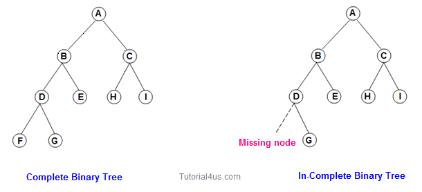 binary tree