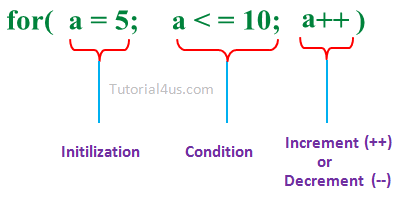 For Loop For Loop