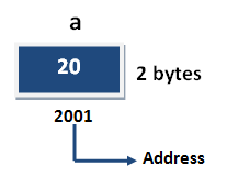 variable Assignment