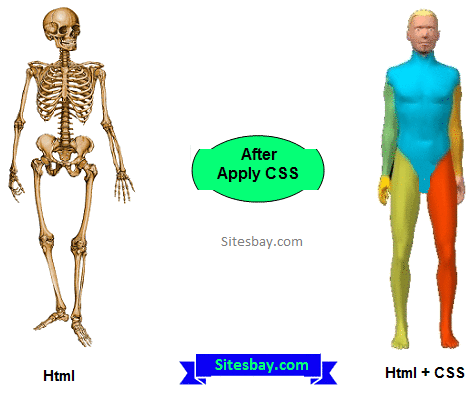 Images css tutorial