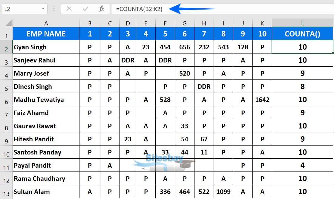 Image counta function in excel