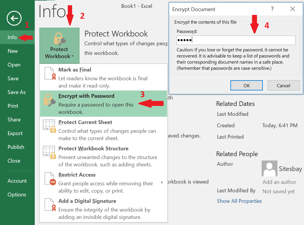 set password in excel sheet