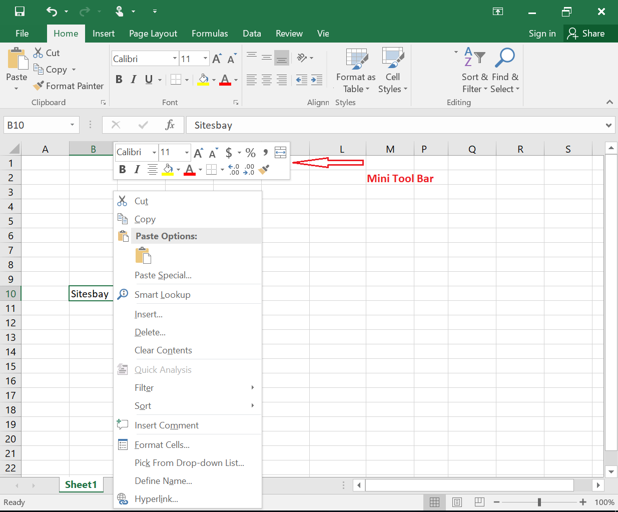 mini tool bar in excel