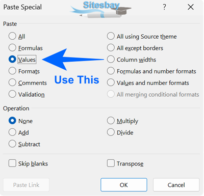 Image paste data as value in excel