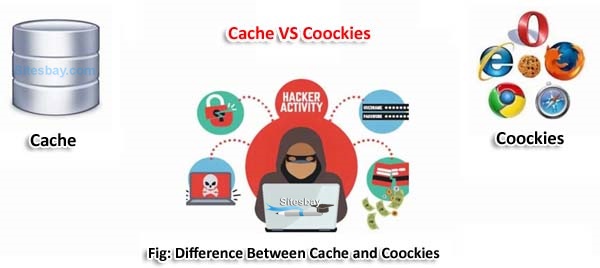 difference between cache and coockies