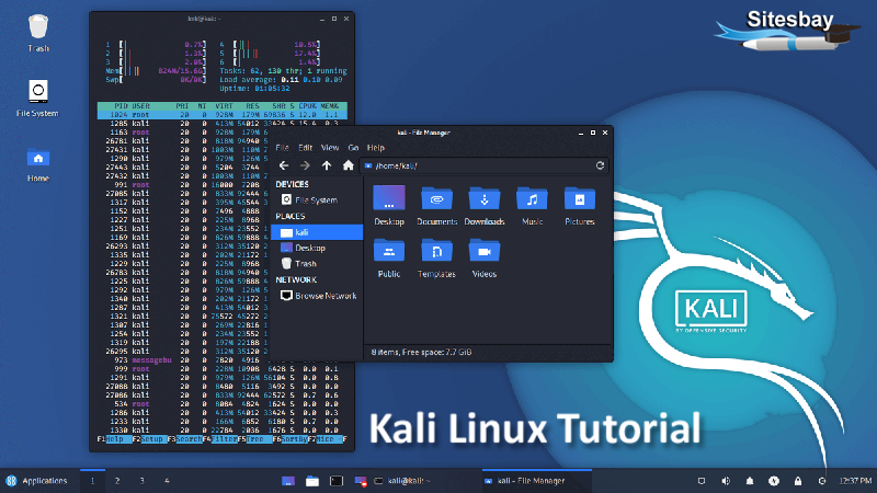 kali linux tutorial