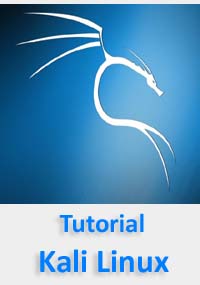 kali linux tutorial