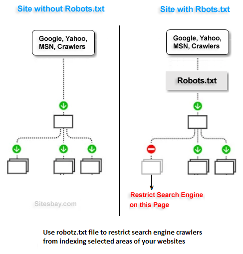 robots.txt file