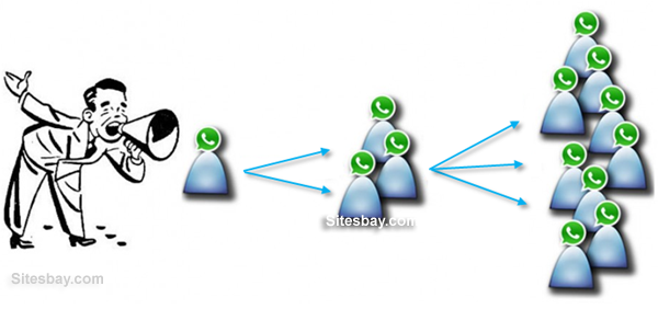 whatsapp marketing