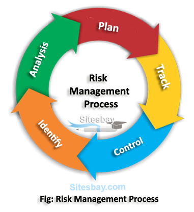 risk management in software engineering