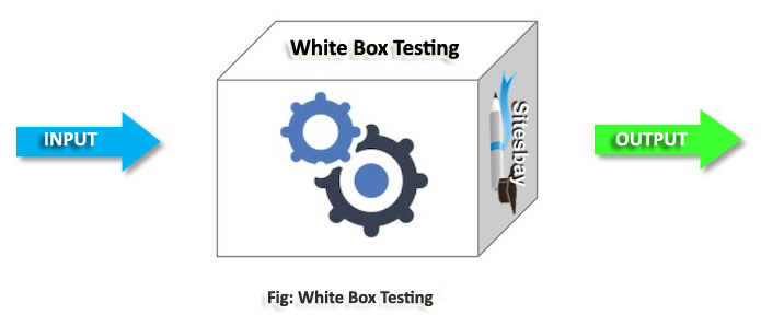 white box testing