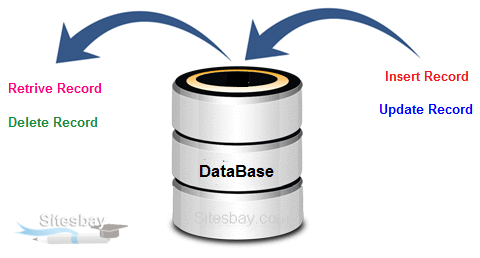 SQL Tutorial