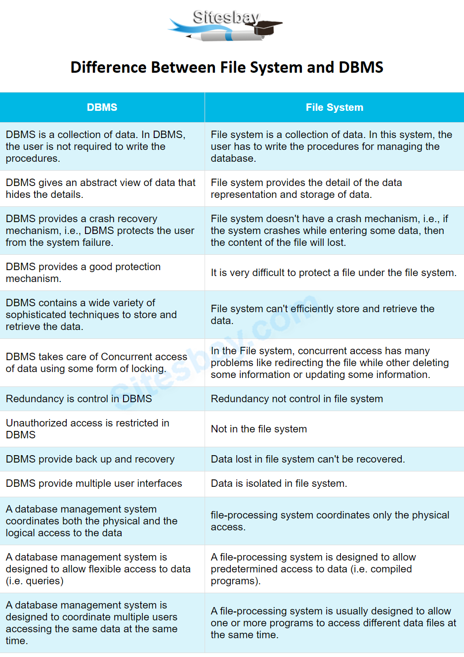 The Difference Between File Types The Wildly Design - vrogue.co